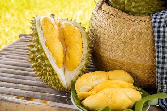 Giá sầu riêng hôm nay 9/1: Ri6 tăng giá, sầu riêng Thái đạt mốc 115.000 đồng/kg