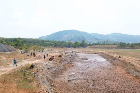Gia Lai: Nắng hạn kéo dài, ao hồ trơ đáy, nông dân trắng đêm mót nước cứu cây trồng