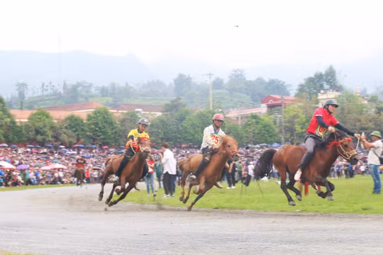 Festival mùa hè Bắc Hà 2026 hướng tới kỷ lục Guinness