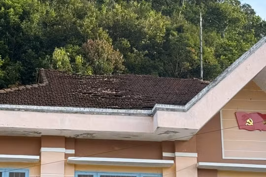 Quảng Ngãi: Liên tiếp xảy ra 2 trận động đất trong dịp nghỉ lễ tại Măng Bút