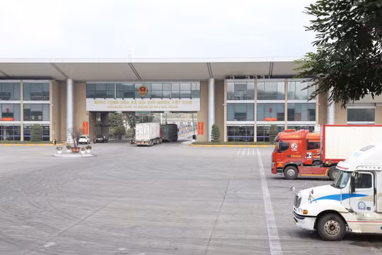 Mùng 1 Tết Bính Ngọ 2026: Hai cửa khẩu tại Lào Cai rộn ràng đón khách, thông quan xuyên Tết thông suốt, an toàn