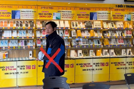 Hải Phòng: Nam thanh niên đột nhập cửa hàng Thế giới di động trộm điện thoại bán lấy tiền đánh bạc