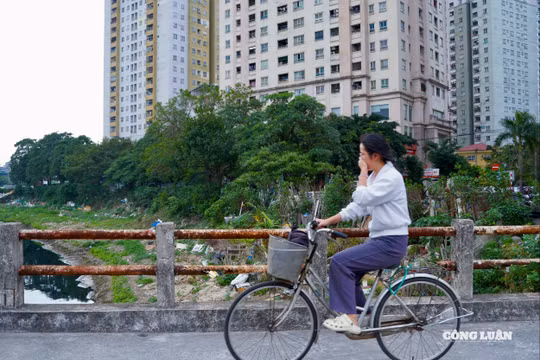 Xây xẩm mặt mày và buồn nôn với mùi hôi thối bốc lên từ sông Nhuệ