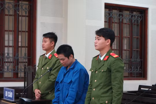 Bi kịch gia đình vì … đất