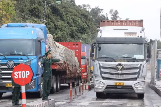 Chính phủ quyết nghị tạm dừng áp dụng Nghị định số 46 về an toàn thực phẩm