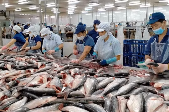 Đề xuất sửa luật để tránh 'đè nặng' chi phí lên doanh nghiệp