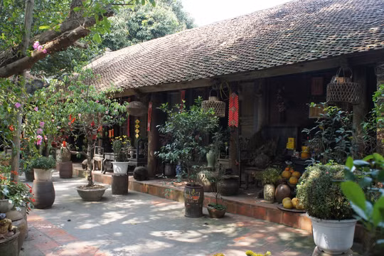 Làng cổ Đường Lâm, ngổn ngang chuyện bảo tồn