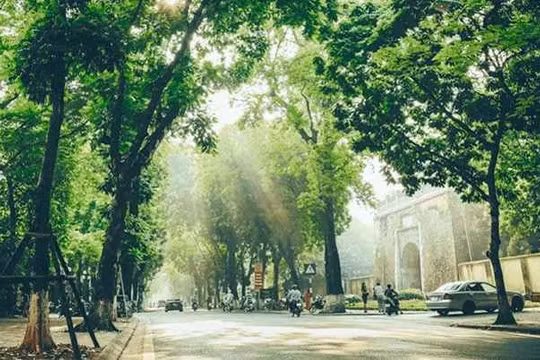 Dự báo thời tiết ngày 7/3: Hà Nội nắng ấm, sáng sớm sương mù