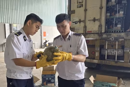 Lập đường dây nóng 24/7, khẩn trương gỡ ách tắc kiểm tra thực phẩm xuất, nhập khẩu