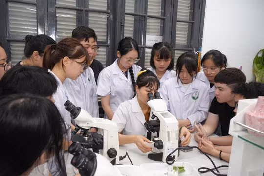 Đại học Dược Hà Nội bổ sung tổ hợp có Tiếng Anh, không quy đổi IELTS khi xét tuyển