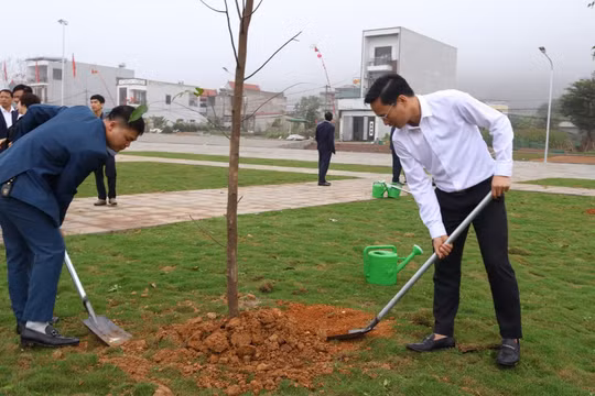 Phú Thọ: Rộn ràng khí thế “Tết trồng cây đời đời nhớ ơn Bác Hồ” Xuân Bính Ngọ 2026