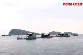 Giữ nghề, giữ vững chủ quyền biển