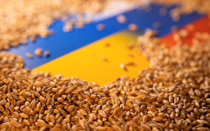 eu nen mua ngu coc cua ukraine chia cho cac nuoc co nhu cau hinh 1