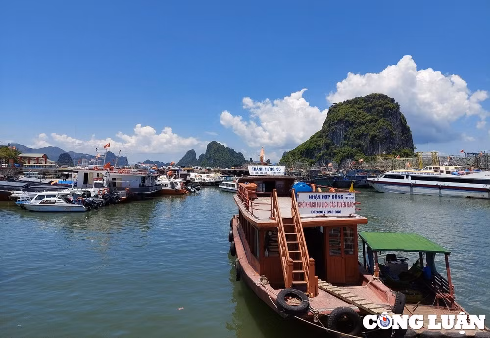 Cảng Cái Rồng (Vân Đồn) trước khi cơn bão số 1 đổ bộ vào địa bàn (Ảnh: Nguyễn Quân)