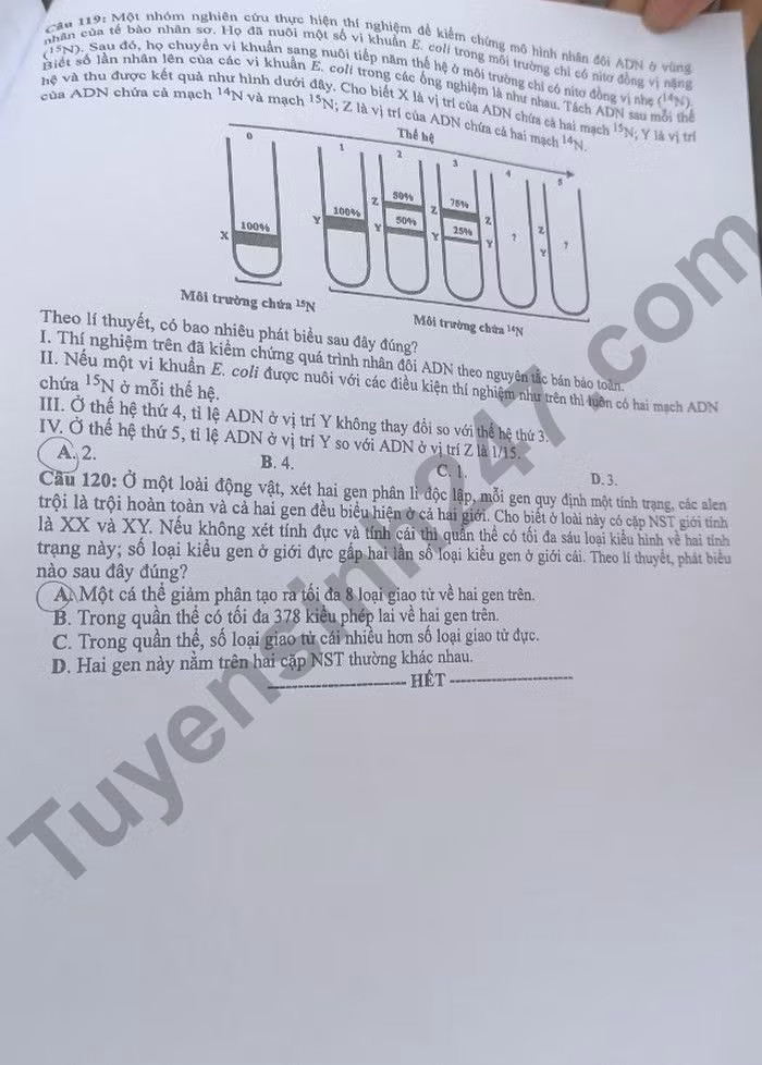 de thi tot nghiep thpt 2022 mon sinh hoc ma de 209 hinh 5
