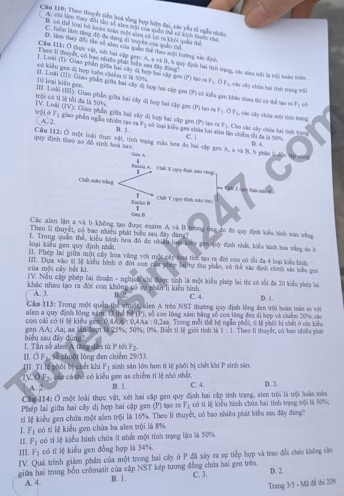 de thi tot nghiep thpt 2022 mon sinh hoc ma de 209 hinh 3