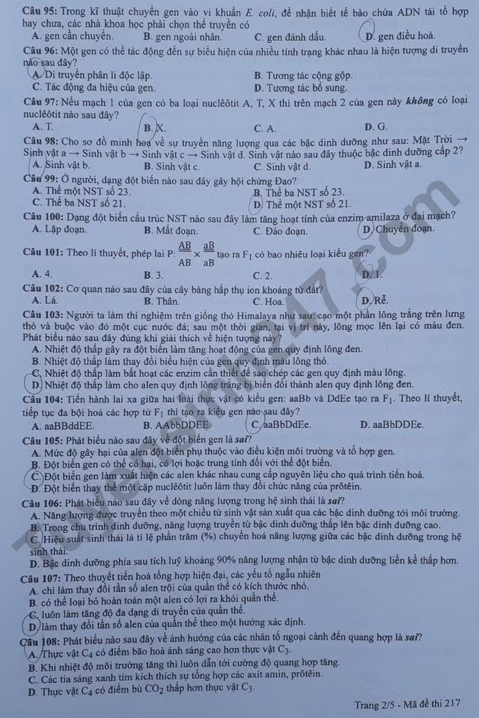 de thi tot nghiep thpt 2022 mon sinh hoc ma de 217 hinh 2
