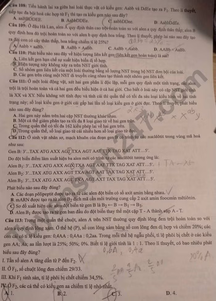 de thi tot nghiep thpt 2022 mon sinh hoc ma de 210 hinh 3