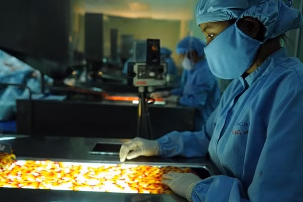 SCIC bán đấu giá 2,9 triệu cổ phần Công ty Thuốc ung thư Benovas. Ảnh minh họa