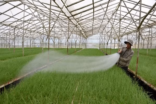 Hiện nay, đã có khoảng 27.000 hộ nông dân có thu nhập trên 1 tỷ đồng/năm
