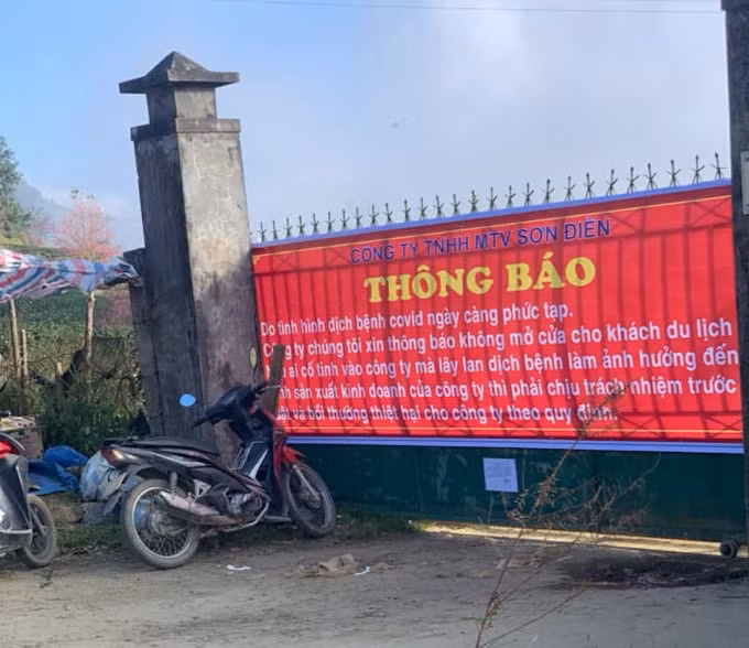 do covid 19 cam du khach tham doi hoa anh dao dep nhat sa pa hinh 2