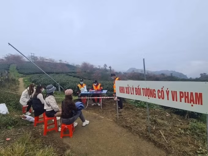 do covid 19 cam du khach tham doi hoa anh dao dep nhat sa pa hinh 3