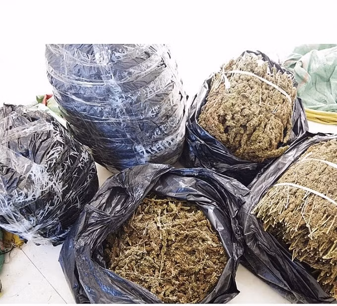 bo doi bien phong bat giu gan 34kg nghi can sa kho hinh 1