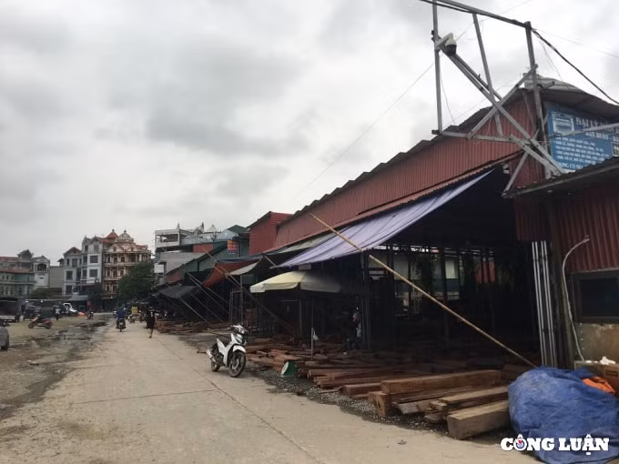 ubnd phuong phu khe hau thuan phan lo dat nong nghiep lap cho buon ban go trai phep hinh 2