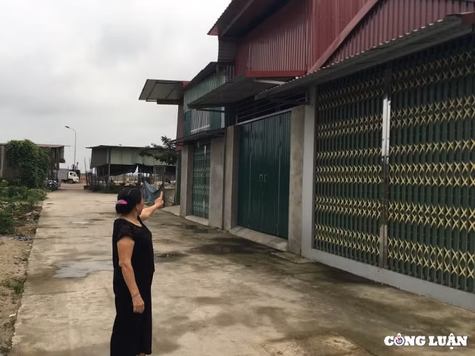 ubnd phuong phu khe hau thuan phan lo dat nong nghiep lap cho buon ban go trai phep hinh 4
