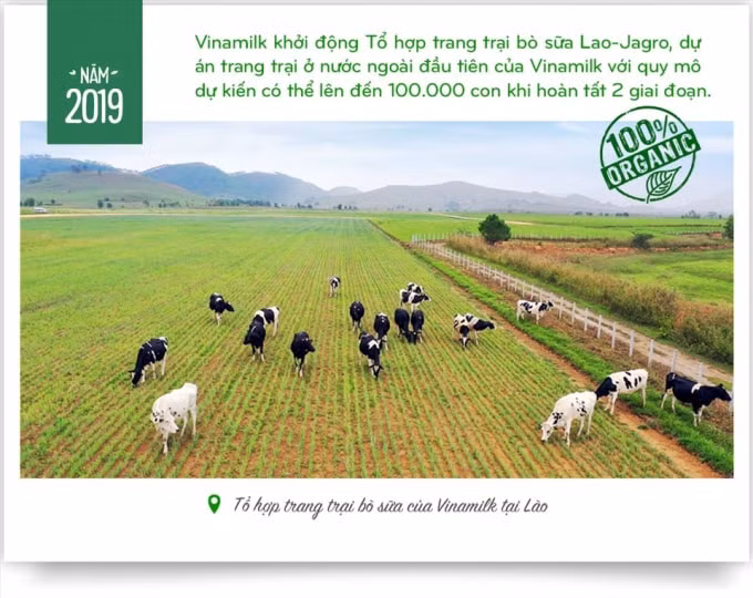 15 nam xay dung he thong trang trai cua trieu phu sua tuoi viet nam hinh 6