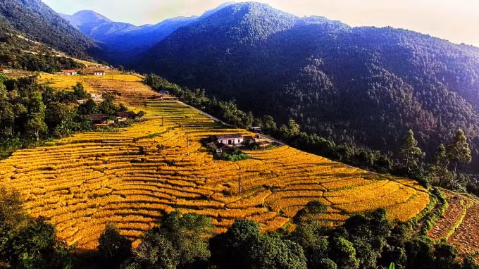 du lich quang ninh nhung tin hieu hoi sinh hinh 4