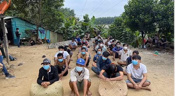canh sat dot kich soi bac da ga an tien bat hang chuc doi tuong hinh 1