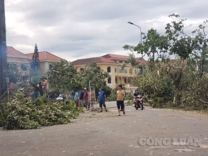 Hơn 10.000 cây xanh ở thành phố Huế bị gãy đổ.
