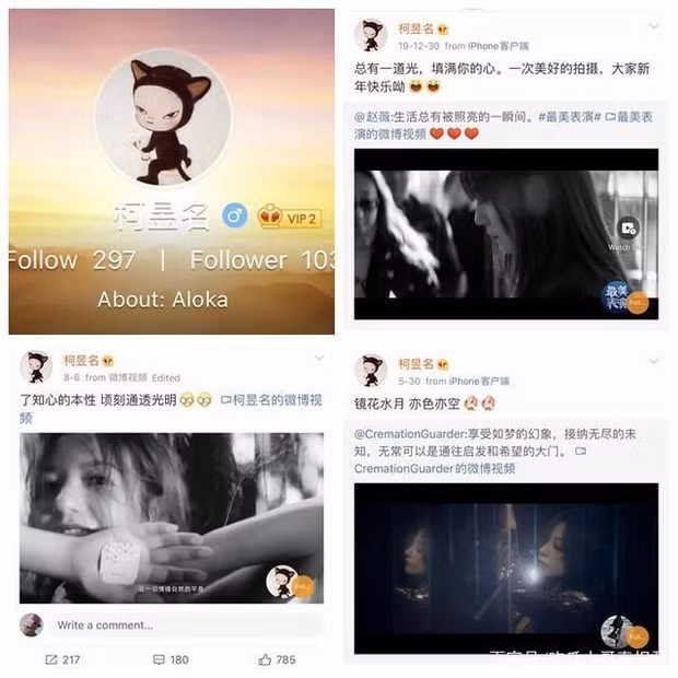 triệu vy5