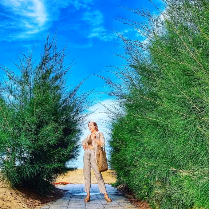 Những loài cây như phi lao, bàng biển xanh ngắt vươn mình giữa nắng gió cũng tạo nên khung cảnh đậm màu sắc nhiệt đới cho bức hình sống ảo của bạn.(Ảnh: huyen_nguyen2012)
