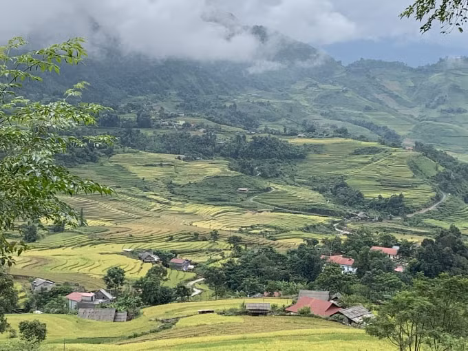 Ruộng bậc thang Ý Tý.