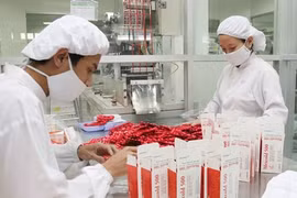 Đến năm 2045, tổng giá trị ngành công nghiệp dược đóng góp vào GDP trên 20 tỷ USD