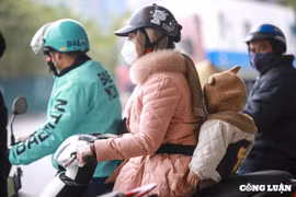Đợt rét đậm, rét hại ở miền Bắc sẽ kéo dài đến khi nào?