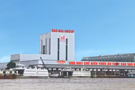 Tập đoàn Sao Mai (ASM) lợi nhuận sụt giảm 70%, phải bán cổ phần công ty con