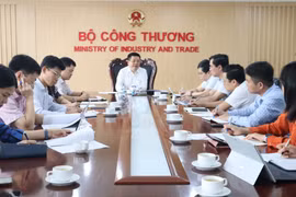 Thanh tra toàn diện việc cung ứng điện của EVN, Bộ trưởng Bộ Công Thương nói gì?
