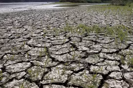 El Nino chính thức trở lại, dự báo sẽ có nhiều điều kiện thời tiết khắc nghiệt