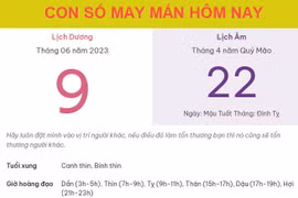 Con số may mắn hôm nay 9/6/2023 thứ 6, ngày 22/4 âm lịch