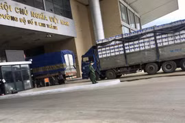 Lào Cai: Xuất khẩu gần 10.000 tấn vải thiều qua cửa khẩu quốc tế Kim Thành