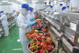 Khoảng 7,2 triệu tấn trái cây cần tiêu thụ trong 7 tháng cuối năm