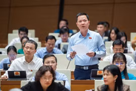 Điện ảnh, nghệ thuật có thể lấy cảm hứng từ mọi nguồn nhưng với lịch sử, văn hóa dân tộc thì phải chân thực