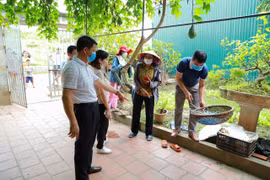 Hà Nội: Kiểm tra địa bàn có ca mắc sốt xuất huyết tăng cao trong tháng 11/2023