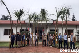 Độc đáo cuộc thi “hoa hậu” dành cho… cây mía