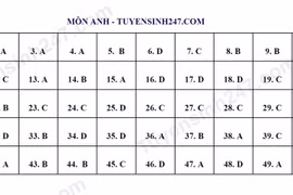 Nhận định đề và đáp án đề thi tham khảo môn Tiếng Anh Kỳ thi tốt nghiệp THPT 2023