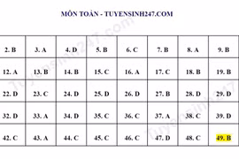 Đáp án và bình luận đề thi tham khảo môn Toán - Kỳ thi tốt nghiệp THPT 2023