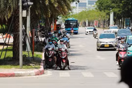 Lái xe dừng đỗ phương tiện dưới bóng cây để chờ đèn đỏ có thể bị xử phạt